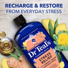 DR. TEALS FOAMING BATH STRESS RELIEF 34OZ