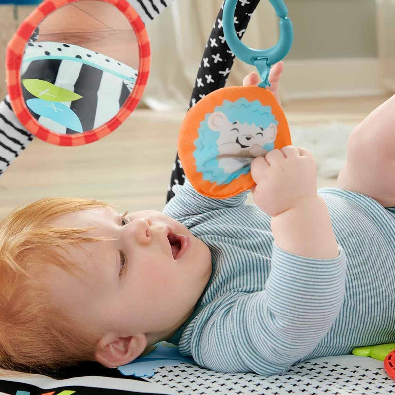 3-IN-1 MUSIC, GLOW AND GROW GYM PLAY MAT