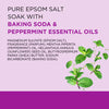 DR. TEALS EPSOM SALTS FOOT SOAK PEPPERMINT 2LB