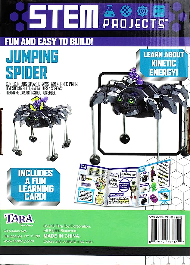 STEM PROJECTS JUMPING SPIDER