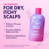 MIELLE ORGANICS MIELLE LAV LYCHEE SHAMPOO 12OZ