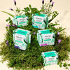 HONEY POT PADS REGULAR HERBAL ORG 20S