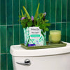 HONEY POT PADS OVERNIGHT HERBAL ORGANIC 12S
