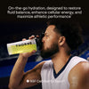 THORNE RESEARCH DAILY ELECTROLYTES MANGO LIMEADE 30PK