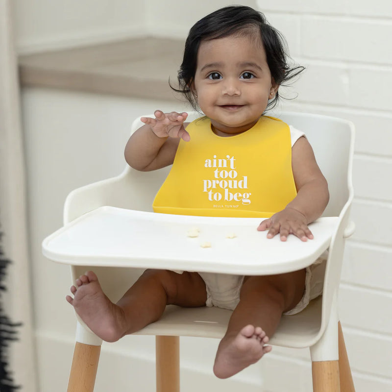 AINT TOO PROUD TO BEG WONDER BIB