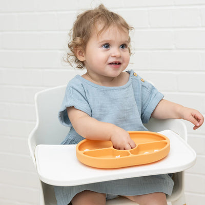 FIESTA THEN SIESTA WONDER PLATE