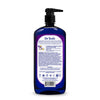 DR. TEALS BODY WASH MELATONIN 24OZ