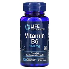 VITAMIN B6 250MG 100 VEG CAPS