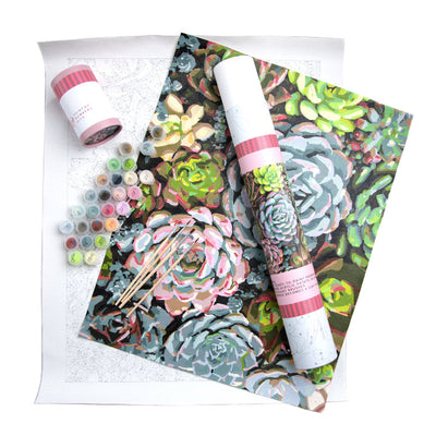 PAINT BY NUMBER -SENSITIVE SUCCULENTS